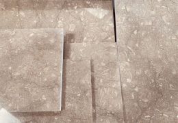 Limestone, Seagrass